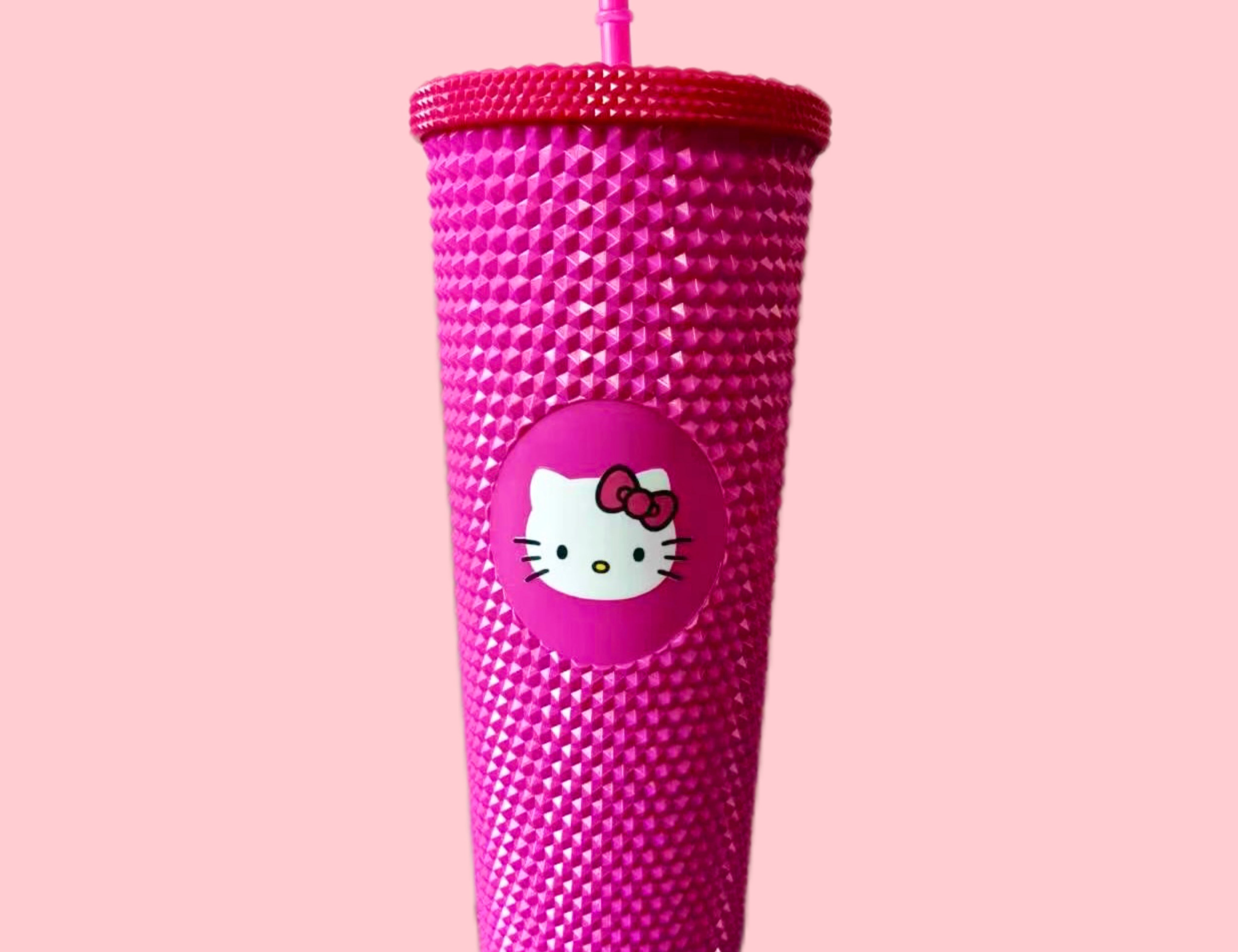 Kitty 24 oz Double Wall Plastic Tumbler